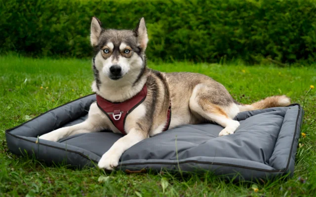 berger-camping-1747772